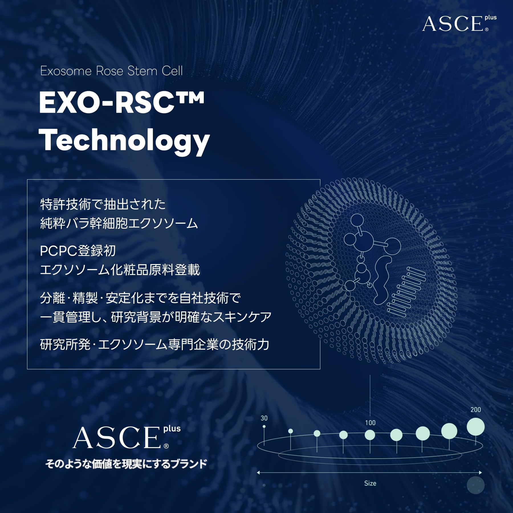 【9本】ASCE+ カーミング アンプルプロ エクソソーム配合 Amazon | ASCEplus カーミング アンプル 5週間プログラム プロ
